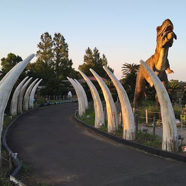 伊豆ぐらんぱる公園に投稿された画像（2021/8/28）