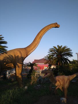 伊豆ぐらんぱる公園に投稿された画像（2021/8/28）