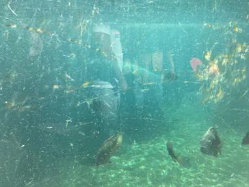 天王寺動物園に投稿された画像（2021/8/28）