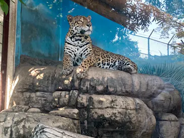 天王寺動物園に投稿された画像（2021/8/28）