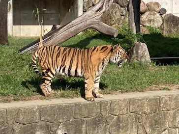 天王寺動物園に投稿された画像（2021/8/28）