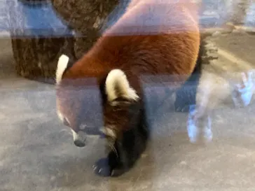 天王寺動物園に投稿された画像（2021/8/28）