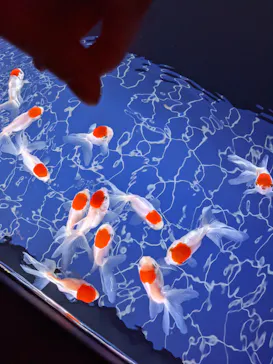すみだ水族館に投稿された画像（2021/8/28）