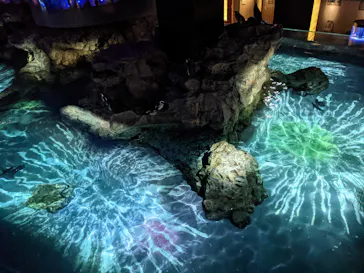 すみだ水族館に投稿された画像（2021/8/28）