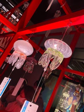 京都水族館に投稿された画像（2021/8/28）