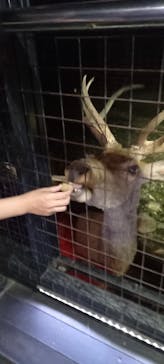 那須サファリパークに投稿された画像（2021/8/28）