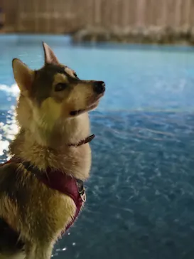 わんダフルネイチャーヴィレッジに投稿された画像（2021/8/28）