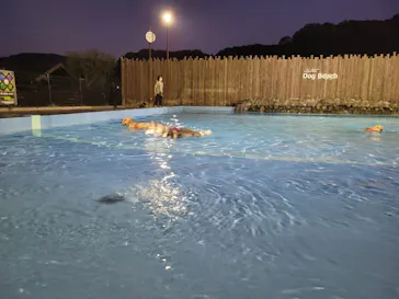 わんダフルネイチャーヴィレッジに投稿された画像（2021/8/28）