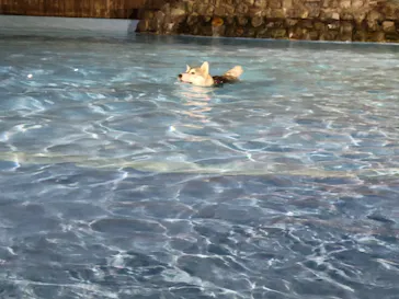 わんダフルネイチャーヴィレッジに投稿された画像（2021/8/28）