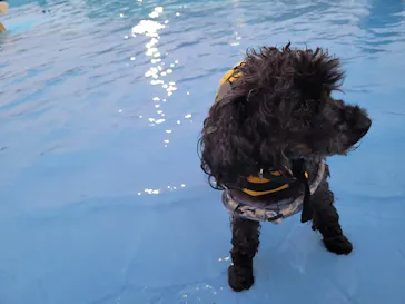 わんダフルネイチャーヴィレッジに投稿された画像（2021/8/28）