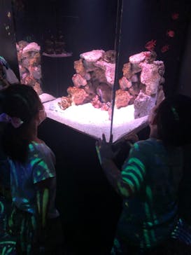 マクセル アクアパーク品川に投稿された画像（2021/8/28）