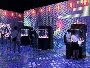 マクセル アクアパーク品川に投稿された画像（2021/8/28）