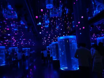 マクセル アクアパーク品川に投稿された画像（2021/8/28）