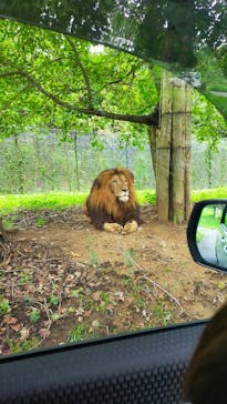姫路セントラルパークに投稿された画像（2021/8/28）