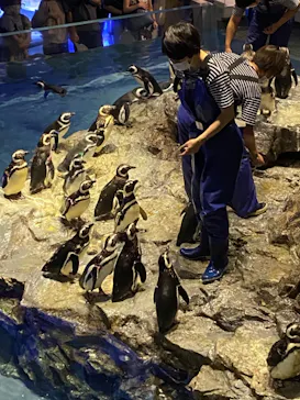 すみだ水族館に投稿された画像（2021/8/28）