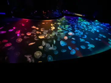 すみだ水族館に投稿された画像（2021/8/28）