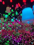 森ビル デジタルアート ミュージアム：エプソン チームラボボーダレスに投稿された画像（2021/8/29）