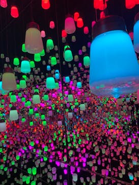 森ビル デジタルアート ミュージアム：エプソン チームラボボーダレスに投稿された画像（2021/8/28）