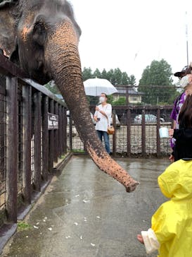 那須サファリパークに投稿された画像（2021/8/29）