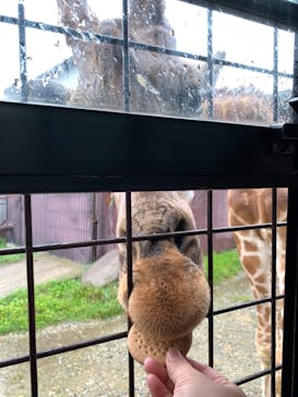 那須サファリパークに投稿された画像（2021/8/29）