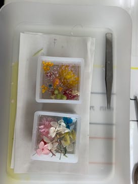 ずこうしつ〜sugamo〜に投稿された画像（2021/8/29）