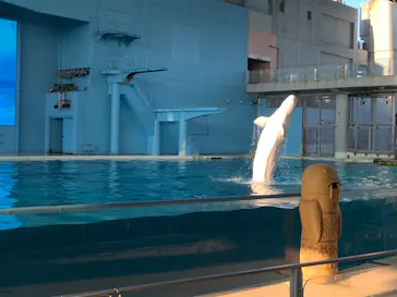 横浜・八景島シーパラダイスに投稿された画像（2021/8/29）