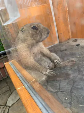 横浜・八景島シーパラダイスに投稿された画像（2021/8/29）