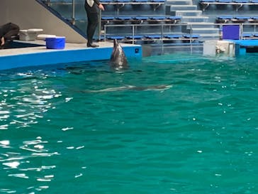 マクセル アクアパーク品川に投稿された画像（2021/8/29）