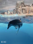 名古屋港水族館に投稿された画像（2021/8/29）