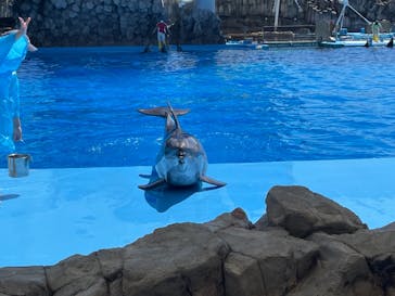 名古屋港水族館に投稿された画像（2021/8/29）