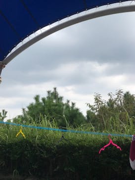 大磯ロングビーチに投稿された画像（2021/8/29）