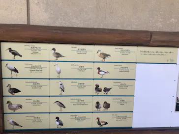 天王寺動物園に投稿された画像（2021/8/29）