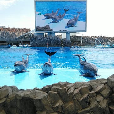名古屋港水族館に投稿された画像（2021/8/29）
