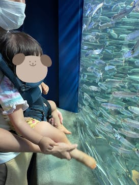 サンシャイン水族館に投稿された画像（2021/8/29）
