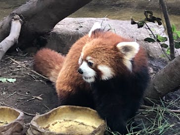 那須どうぶつ王国に投稿された画像（2021/8/29）