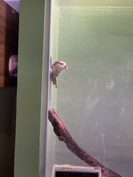 マクセル アクアパーク品川に投稿された画像（2021/8/29）