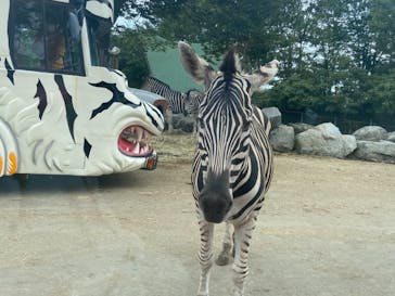 群馬サファリパークに投稿された画像（2021/8/29）