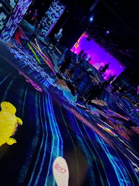 森ビル デジタルアート ミュージアム：エプソン チームラボボーダレスに投稿された画像（2021/8/29）