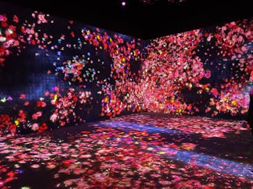 森ビル デジタルアート ミュージアム：エプソン チームラボボーダレスに投稿された画像（2021/8/29）