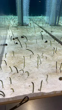 すみだ水族館に投稿された画像（2021/8/29）