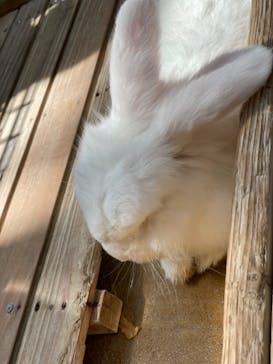 神戸どうぶつ王国に投稿された画像（2021/8/29）