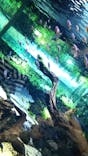 カワスイ 川崎⽔族館に投稿された画像（2021/8/29）