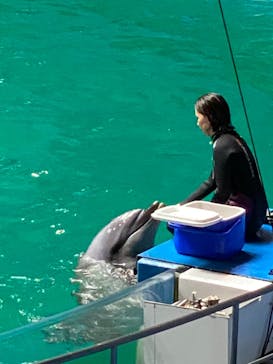 マクセル アクアパーク品川に投稿された画像（2021/8/29）