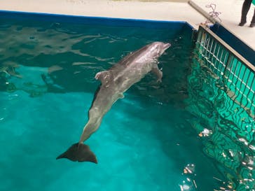 マクセル アクアパーク品川に投稿された画像（2021/8/29）