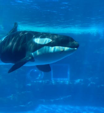 名古屋港水族館に投稿された画像（2021/8/29）