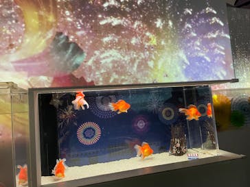 マクセル アクアパーク品川に投稿された画像（2021/8/29）