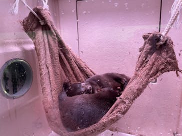 マクセル アクアパーク品川に投稿された画像（2021/8/29）