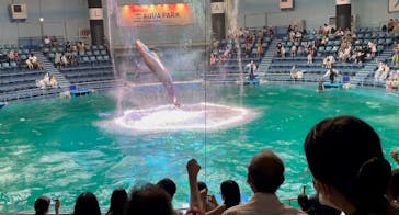 マクセル アクアパーク品川に投稿された画像（2021/8/29）