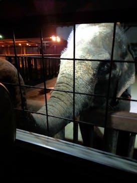 那須サファリパークに投稿された画像（2021/8/29）