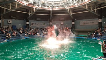 マクセル アクアパーク品川に投稿された画像（2021/8/29）